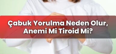 Çabuk Yorulma Neden Olur, Anemi Mi Tiroid Mi?