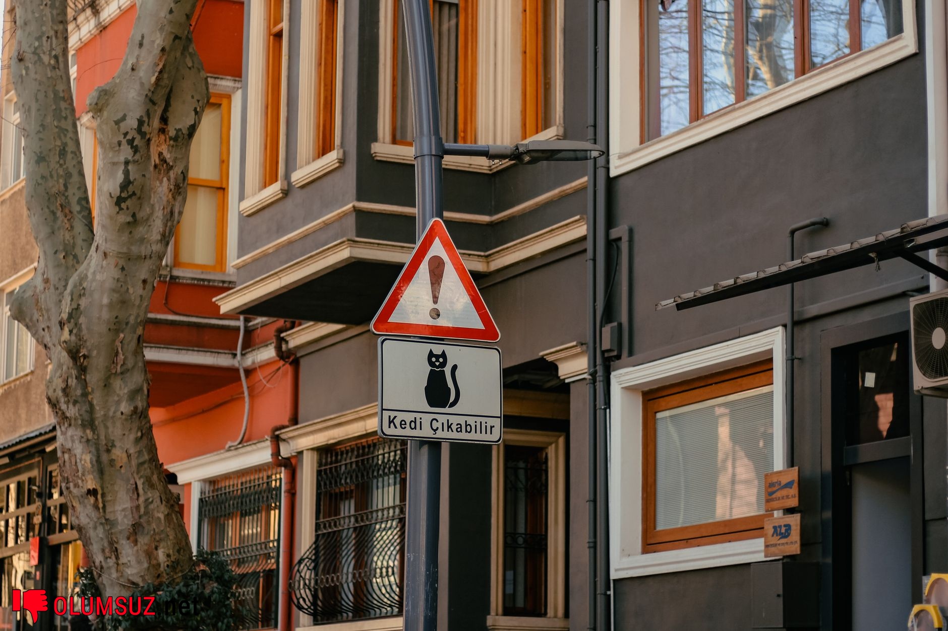 Tatlı isteği kontrol edilemeyen kişi, stresli yüz ifadesi