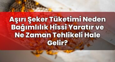 Aşırı Şeker Tüketimi Neden Bağımlılık Hissi Yaratır ve Ne Zaman Tehlikeli Hale
Gelir?