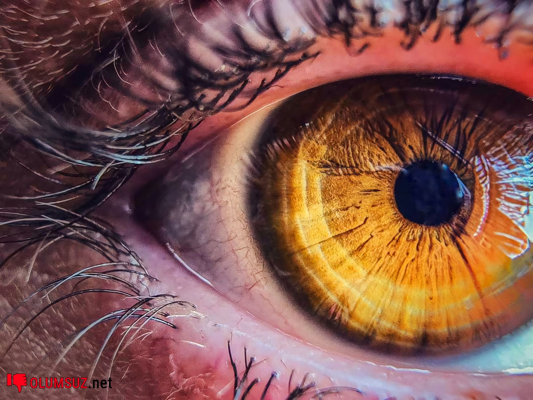 Bilgisayar kullanımı sırasında göz sağlığına dikkat eden kişi