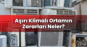 Aşırı Klimalı Ortamın Zararları Neler?