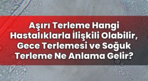 Aşırı Terleme Hangi Hastalıklarla İlişkili Olabilir, Gece Terlemesi ve Soğuk
Terleme Ne Anlama Gelir?
