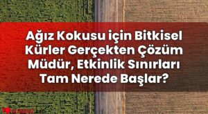 Ağız Kokusu için Bitkisel Kürler Gerçekten Çözüm Müdür, Etkinlik Sınırları Tam
Nerede Başlar?