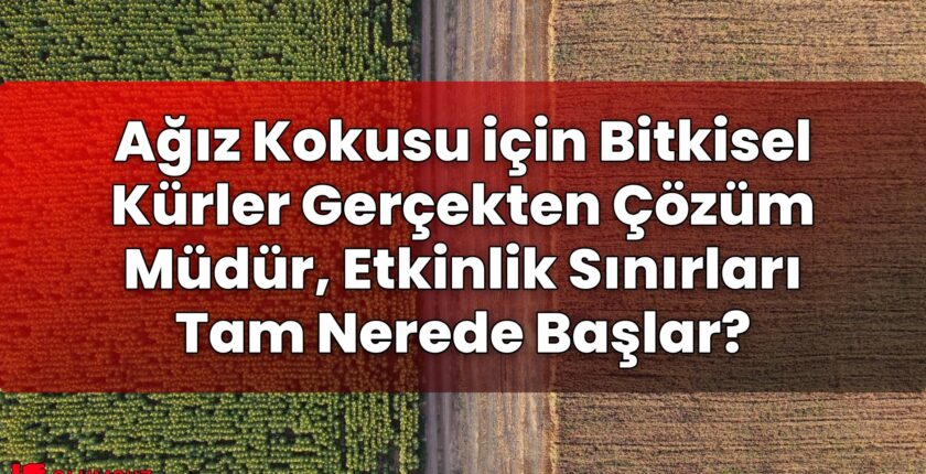 Ağız Kokusu için Bitkisel Kürler Gerçekten Çözüm Müdür, Etkinlik Sınırları Tam
Nerede Başlar?