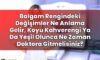 Balgam Rengindeki Değişimler Ne Anlama Gelir, Koyu Kahverengi Ya Da Yeşil Olunca
Ne Zaman Doktora Gitmelisiniz?