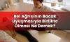 Bel Ağrısının Bacak Uyuşmasıyla Birlikte Olması Ne Demek?