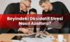 Beyindeki Oksidatif Stresi Nasıl Azaltırız?