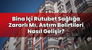 Bina İçi Rutubet Sağlığa Zararlı Mı, Astım Belirtileri Nasıl Gelişir?