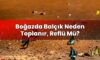 Boğazda Balçık Neden Toplanır, Reflü Mü?