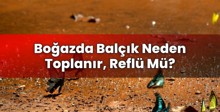 Boğazda Balçık Neden Toplanır, Reflü Mü?