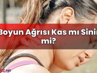 Boyun Ağrısı Kas mı Sinir mi?