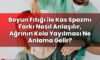 Boyun Fıtığı ile Kas Spazmı Farkı Nasıl Anlaşılır, Ağrının Kola Yayılması Ne
Anlama Gelir?