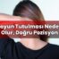 Boyun Tutulması Neden Olur, Doğru Pozisyon