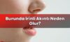 Burunda İrinli Akıntı Neden Olur?