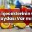 Detoks İçeceklerinin Gerçek Faydası Var mı?