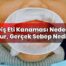 Diş Eti Kanaması Neden Olur, Gerçek Sebep Nedir?