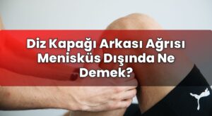 Diz Kapağı Arkası Ağrısı Menisküs Dışında Ne Demek?