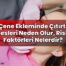 Çene Ekleminde Çıtırtı Sesleri Neden Olur, Risk Faktörleri Nelerdir?