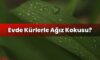 Evde Kürlerle Ağız Kokusu?