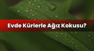 Evde Kürlerle Ağız Kokusu?