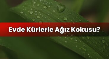 Evde Kürlerle Ağız Kokusu?