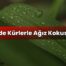 Evde Kürlerle Ağız Kokusu?