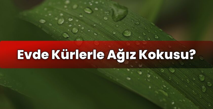 Evde Kürlerle Ağız Kokusu?