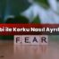 Fobi ile Korku Nasıl Ayrılır?