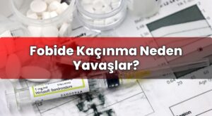 Fobide Kaçınma Neden Yavaşlar?