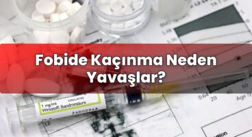 Fobide Kaçınma Neden Yavaşlar?