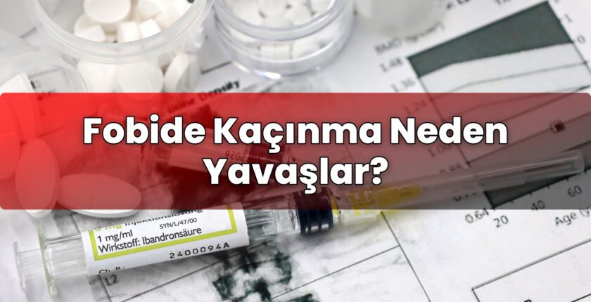 Fobide Kaçınma Neden Yavaşlar?