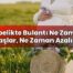 Gebelikte Bulantı Ne Zaman Başlar, Ne Zaman Azalır?