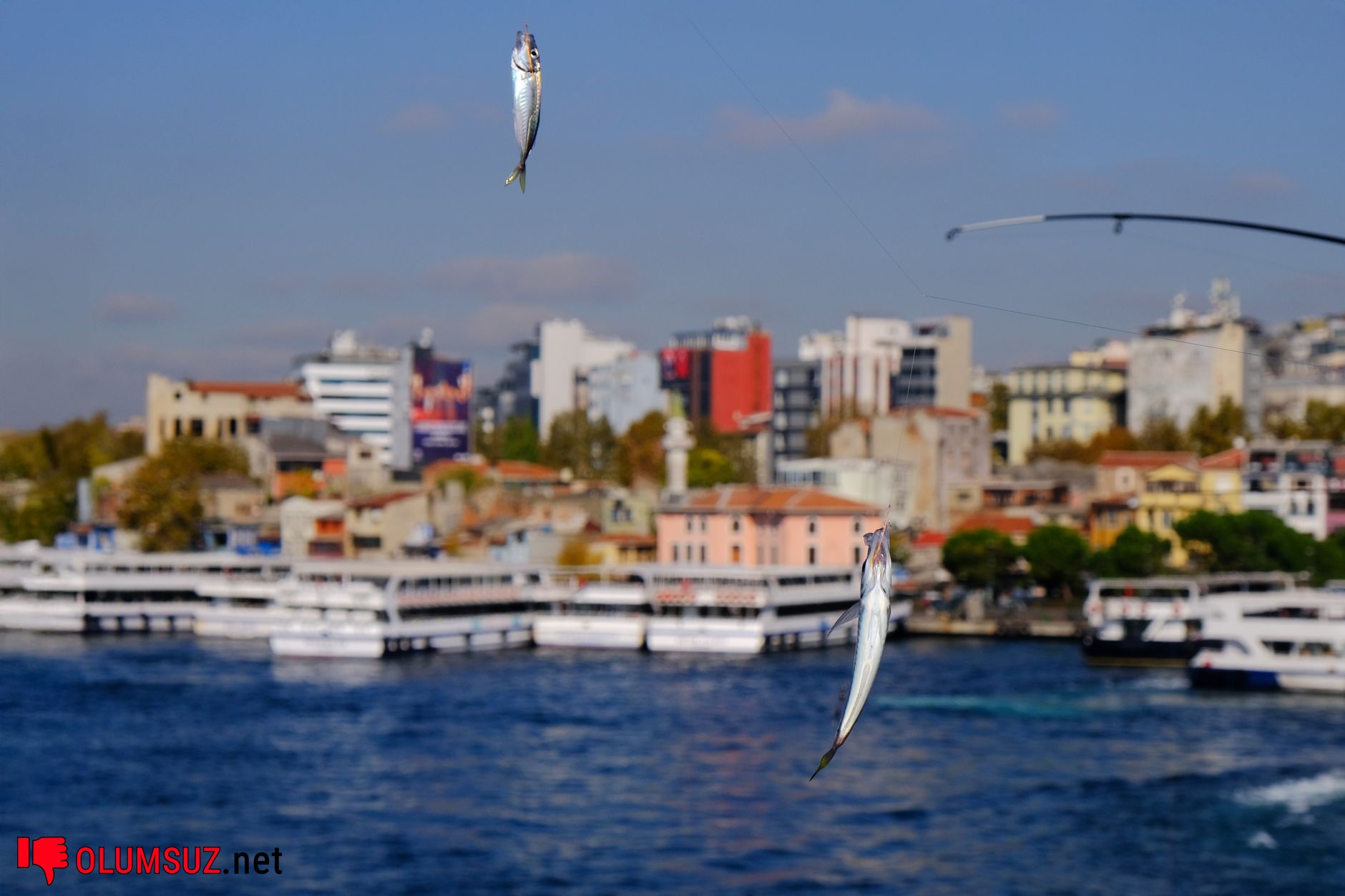 gürültüye maruz kalmanın uzun vadeli etkileri