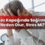 Göz Kapağında Seğirme Neden Olur, Stres Mi?