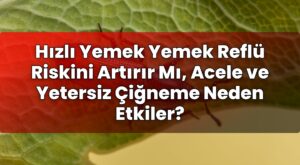 Hızlı Yemek Yemek Reflü Riskini Artırır Mı, Acele ve Yetersiz Çiğneme Neden
Etkiler?