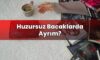 Huzursuz Bacaklarda Ayrım?