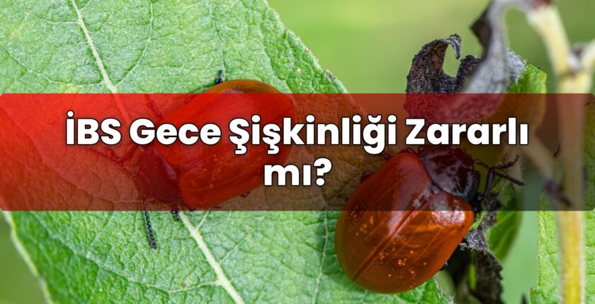 İBS Gece Şişkinliği Zararlı mı?