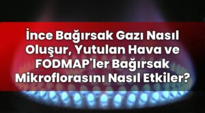İnce Bağırsak Gazı Nasıl Oluşur, Yutulan Hava ve FODMAP’ler Bağırsak
Mikroflorasını Nasıl Etkiler?