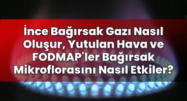 İnce Bağırsak Gazı Nasıl Oluşur, Yutulan Hava ve FODMAP’ler Bağırsak
Mikroflorasını Nasıl Etkiler?