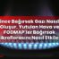 İnce Bağırsak Gazı Nasıl Oluşur, Yutulan Hava ve FODMAP’ler Bağırsak
Mikroflorasını Nasıl Etkiler?