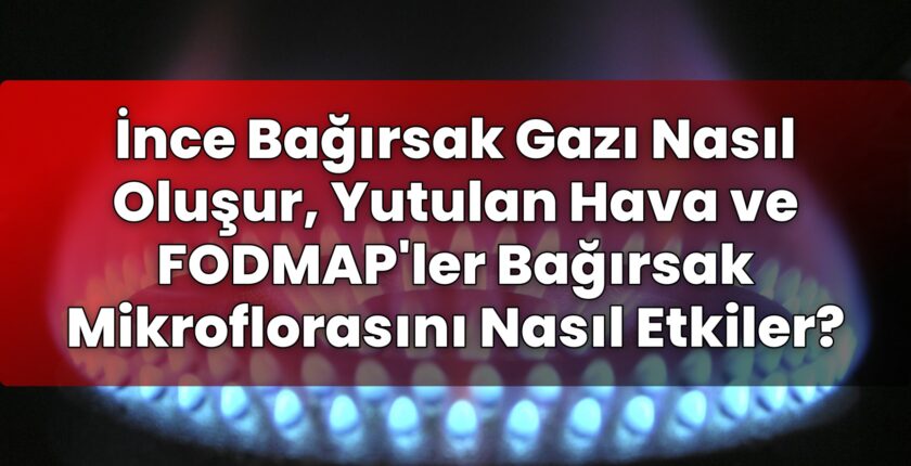 İnce Bağırsak Gazı Nasıl Oluşur, Yutulan Hava ve FODMAP’ler Bağırsak
Mikroflorasını Nasıl Etkiler?