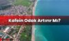 Kafein Odak Artırır Mı?