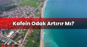 Kafein Odak Artırır Mı?