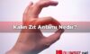 Kalın Zıt Anlamı Nedir?