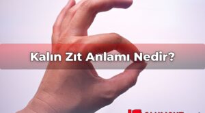 Kalın Zıt Anlamı Nedir?