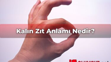 Kalın Zıt Anlamı Nedir?