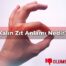 Kalın Zıt Anlamı Nedir?