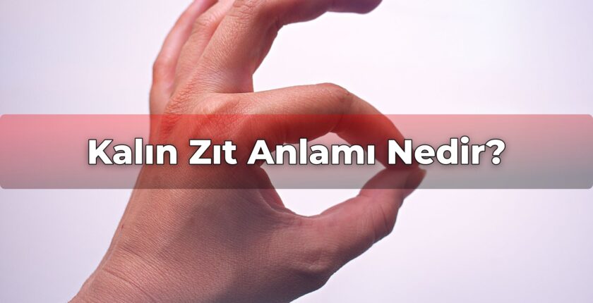Kalın Zıt Anlamı Nedir?
