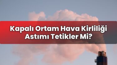 Kapalı Ortam Hava Kirliliği Astımı Tetikler Mi?