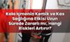 Kola İçmenin Kemik ve Kas Sağlığına Etkisi Uzun Sürede Zararlı mı, Hangi
Riskleri Artırır?